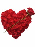 Heart Made Of Rose Petals Stock Photos