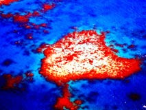 Heart Reef in Great Barrier Reef form sky view in Australia royalty free stock image Heart Reef in Great Barrier Reef form sky view in Australia royalty free stock image