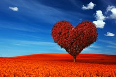 Heart shape tree with red leaves on flower field. Love