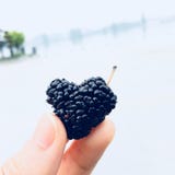 A heart-shaped black mulberry stock photos A heart-shaped black mulberry stock photos