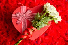 Heart shaped boxed gift, placed on red feathers background royalty free stock images Heart shaped boxed gift, placed on red feathers background royalty free stock images