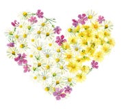 Heart of yellow and white flowers vector illustration Heart of yellow and white flowers vector illustration