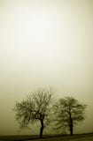 Heavy Fog Royalty Free Stock Images