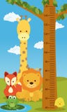 Height Chart Animals Height Chart Animals