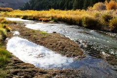 Heldere Bergstroom met Dalingskleuren in Idaho Stock Foto's Heldere Bergstroom met Dalingskleuren in Idaho Stock Foto's