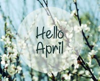 Hello April Suddiga filialer av körsbärsröda blomningar på en bakgrund för blå himmel Arkivbild Hello April Suddiga filialer av körsbärsröda blomningar på en bakgrund för blå himmel Arkivbild