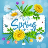 Hello Spring background with beautiful flower and insects on blue background vector illustration Hello Spring background with beautiful flower and insects on blue background vector illustration