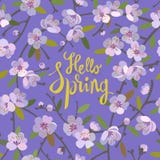 Hello Spring floral background for spring season with blooming apple tree branches. Promotion offer with floral decoration. royalty free illustration Hello Spring floral background for spring season with blooming apple tree branches. Promotion offer with floral decoration. royalty free illustration