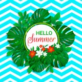 Hello summer background. tropic design. Exotic leaves, flowers with simple text. Vector card with frame. Colored floral stock illustration Hello summer background. tropic design. Exotic leaves, flowers with simple text. Vector card with frame. Colored floral stock illustration