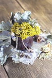 Herbal medicine, homeopathy, the collection of medicinal herbs for tea and medicines. Dried tansy flowers and oak leaves in a cup stock image Herbal medicine, homeopathy, the collection of medicinal herbs for tea and medicines. Dried tansy flowers and oak leaves in a cup stock image