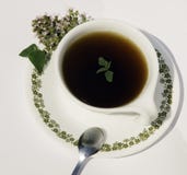 Herbal Tea Stock Images