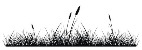 Herbe Image stock Herbe Image stock