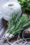Herbes et épices aromatiques de jardin photos libres de droits Herbes et épices aromatiques de jardin photos libres de droits