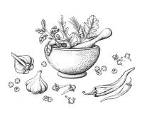 Herbs and spices in a mortar stock illustration Herbs and spices in a mortar stock illustration