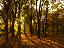Herbst
