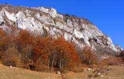 Herbst in Rasnoave-Schluchten, Brasov-Grafschaft stockbilder Herbst in Rasnoave-Schluchten, Brasov-Grafschaft stockbilder