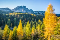 Herbstlandschaft in den Dolomit, Italien Berge, Tannenbäume und vor allem Lärchen, die die Farbe ändern, die das typische gelbe a stockfoto Herbstlandschaft in den Dolomit, Italien Berge, Tannenbäume und vor allem Lärchen, die die Farbe ändern, die das typische gelbe a stockfoto