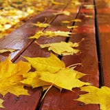 Herbstlaub auf einer Bank im Park stockfotos Herbstlaub auf einer Bank im Park stockfotos