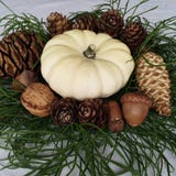 Herbststillleben mit weißen Minikürbis- und Kiefernkegeln stockbilder Herbststillleben mit weißen Minikürbis- und Kiefernkegeln stockbilder