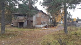 herrgård i trådarna Ryssland för gräs för skogtelefonpol arkivbild herrgård i trådarna Ryssland för gräs för skogtelefonpol arkivbild
