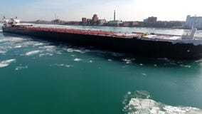 Herrliche Brummenansicht der Antenne 4k über großes Behälterfracht-Frachtschiff-Schifftankersegeln im Eisgletscher-Flussmeerblick stock video footage Herrliche Brummenansicht der Antenne 4k über großes Behälterfracht-Frachtschiff-Schifftankersegeln im Eisgletscher-Flussmeerblick stock video footage