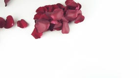 Herzform von den roten rosafarbenen Blumenblättern weggeblasen durch den Wind auf weißem Hintergrundzeitlupevorrat-Gesamtlängenvi stock video Herzform von den roten rosafarbenen Blumenblättern weggeblasen durch den Wind auf weißem Hintergrundzeitlupevorrat-Gesamtlängenvi stock video
