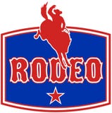 Het Amerikaanse paard van de Cowboy van de Rodeo stock illustratie Het Amerikaanse paard van de Cowboy van de Rodeo stock illustratie