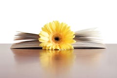 Het Boek van de bloem stock foto Het Boek van de bloem stock foto