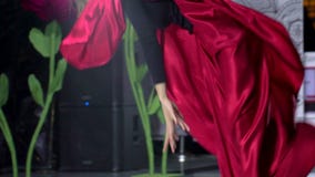 Het dansen meisjesballerina het danccing, Vrouwelijke mooie vrouwen professionele danser in rode kleding voert dans van Argentini stock video Het dansen meisjesballerina het danccing, Vrouwelijke mooie vrouwen professionele danser in rode kleding voert dans van Argentini stock video