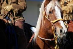 Het de oude Mensen en paard van de Berg van het Westen stock afbeeldingen Het de oude Mensen en paard van de Berg van het Westen stock afbeeldingen