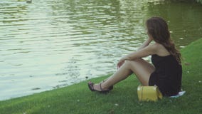 Het donkerbruine ontspannen dichtbij het water stock videobeelden Het donkerbruine ontspannen dichtbij het water stock videobeelden