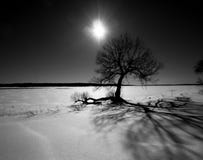 Het dramatische Landschap van de Winter Stock Foto's