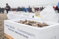 Het Festival van het de Winterbad in Søndervig in Denemarken stock afbeeldingen Het Festival van het de Winterbad in Søndervig in Denemarken stock afbeeldingen