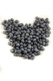 Het goede hert vormde zoet vers bosbessen` s fruit ` s royalty-vrije stock foto Het goede hert vormde zoet vers bosbessen` s fruit ` s royalty-vrije stock foto