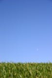 Het Gras van de hemel Het Gras van de hemel