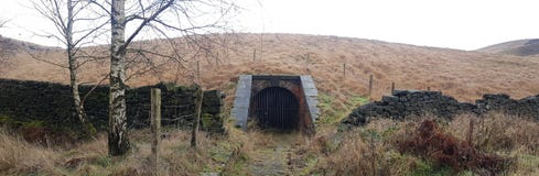 Het griezelige Kijken Tunnel in de Bossen stock foto's Het griezelige Kijken Tunnel in de Bossen stock foto's