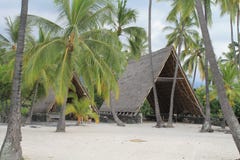 Het Hawaiiaanse leven in het Nationale Park van Pu’uhonua Honaunau stock afbeeldingen Het Hawaiiaanse leven in het Nationale Park van Pu’uhonua Honaunau stock afbeeldingen