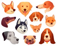 Het Hoofd van de beeldverhaalhond De grappige snuit van het puppyhuisdier, het glimlachen het hondgezicht en de honden isoleerden royalty-vrije illustratie Het Hoofd van de beeldverhaalhond De grappige snuit van het puppyhuisdier, het glimlachen het hondgezicht en de honden isoleerden royalty-vrije illustratie