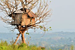 Het huis van de boom