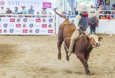 Het internationale festival van Mariachi & Charros- stock afbeelding Het internationale festival van Mariachi & Charros- stock afbeelding