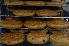 Het Italiaanse brood van olijffocaccia in bakseldienbladen stock foto's Het Italiaanse brood van olijffocaccia in bakseldienbladen stock foto's