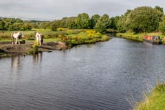 Het kanaal van Leeds Liverpool met een kanaalaak en dieren royalty-vrije stock fotografie Het kanaal van Leeds Liverpool met een kanaalaak en dieren royalty-vrije stock fotografie
