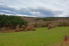 Het landschap van Ardennen met flank van rollende heuvel met pijnbomen en loofbomen onder donkere wolken stock fotografie Het landschap van Ardennen met flank van rollende heuvel met pijnbomen en loofbomen onder donkere wolken stock fotografie
