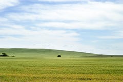Het Landschap van de prairie stock foto Het Landschap van de prairie stock foto