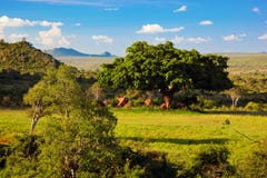 Het landschap van de weide, van de struik en van de savanne. Het Westen van Tsavo, Kenia, Afrika stock foto Het landschap van de weide, van de struik en van de savanne. Het Westen van Tsavo, Kenia, Afrika stock foto