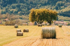 Het landschap van het de zomerlandbouwbedrijf met hooibergen op het gebied royalty-vrije stock foto Het landschap van het de zomerlandbouwbedrijf met hooibergen op het gebied royalty-vrije stock foto