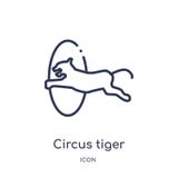 Het lineaire pictogram van de circustijger van de inzameling van het Circusoverzicht Dunne die de tijgervector van het lijncircus royalty-vrije illustratie Het lineaire pictogram van de circustijger van de inzameling van het Circusoverzicht Dunne die de tijgervector van het lijncircus royalty-vrije illustratie