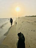 Het lopen op het Strand stock afbeelding Het lopen op het Strand stock afbeelding