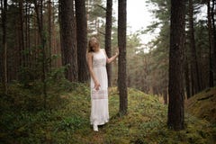 Het lopen van de mooie jonge bosnimf van de blondevrouw in witte kleding in altijdgroen hout stock foto's Het lopen van de mooie jonge bosnimf van de blondevrouw in witte kleding in altijdgroen hout stock foto's