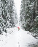 Het lopen van de sneeuw behandelde sleep met een rode paraplu stock afbeelding Het lopen van de sneeuw behandelde sleep met een rode paraplu stock afbeelding